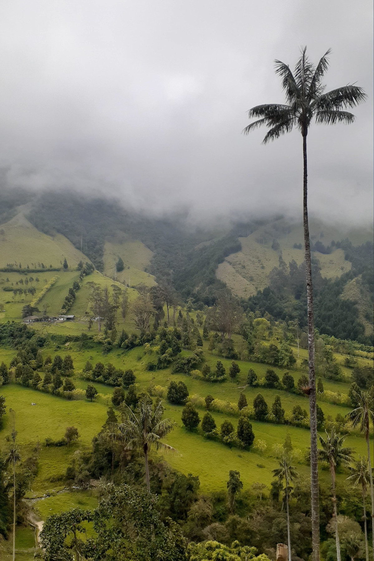 pexels-valentina-sarmiento-13706836