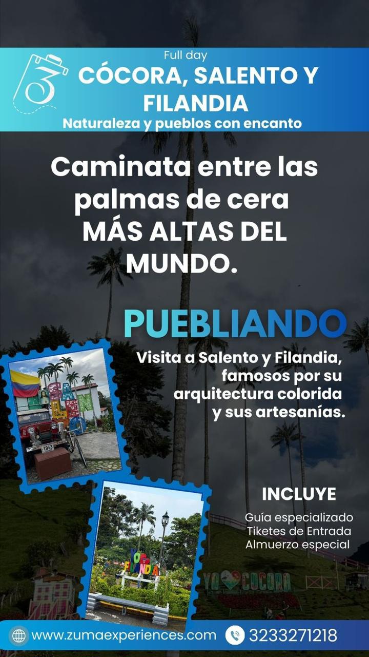 Flyer Vertical